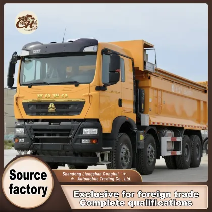 Heavy Duty Truck 380 HP Fuel Dump Truck