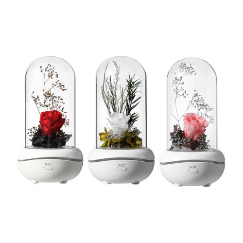 Battery operated usb Aroma Diffuser waterless portable
