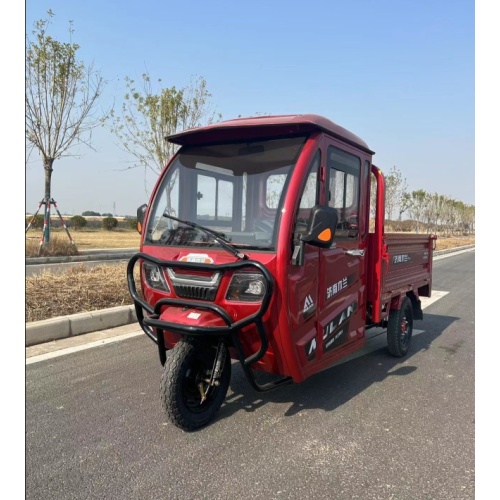 Tricycle electric trike for passenger with EEC certification