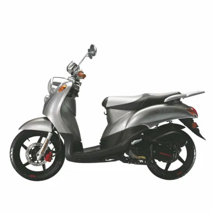 Gas Powered Motor Scooters Large Turtle 125