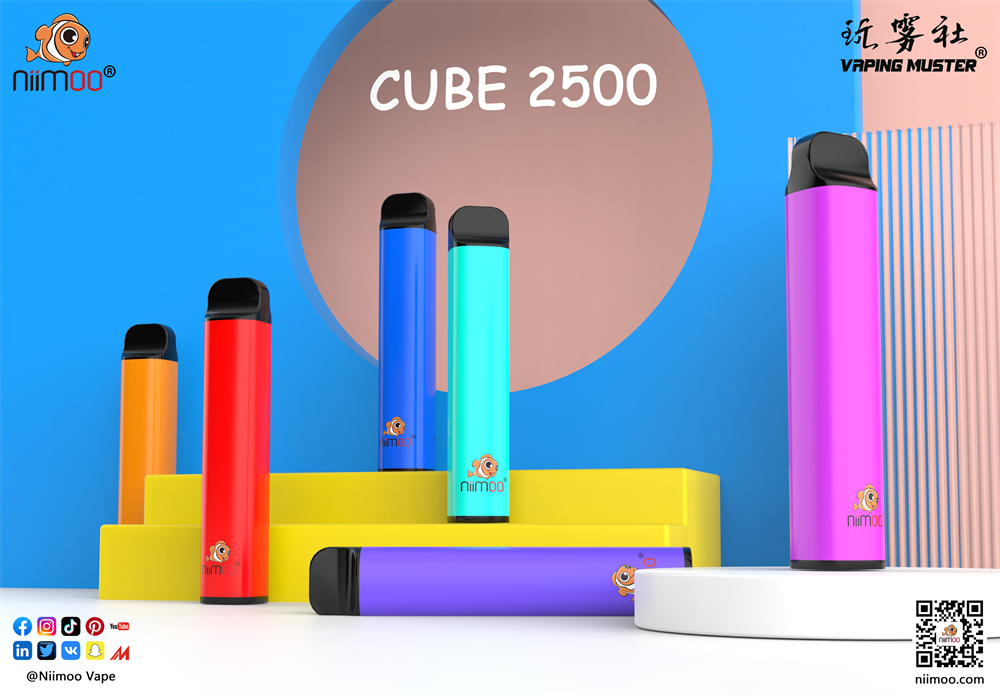 Cube 2500 Rechargeable Vape Pod