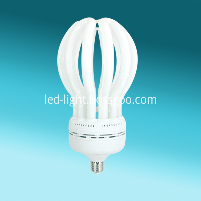 Lotus 6U 135w CFL Lamps 