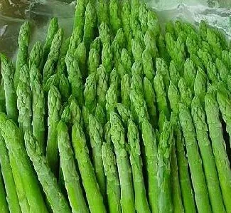 Asparagus Seed Germination/Planting Asparagus Plants Seeds/Purple Asparagus Crowns Seeds