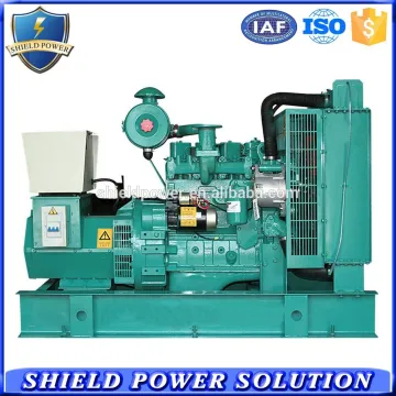 30KW SHIELD Generator Set Diesel Engine Powered by Cummins Famous Generators