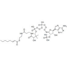 S-[2-[3-[[4-[[[(2R,3S,4R,5R)-5-(6-aminopurin-9-yl)-4-hydroxy-3-phosphonooxyoxolan-2-yl]methoxy-hydroxyphosphoryl]oxy-hydroxyphosphoryl]oxy-2-hydroxy-3,3-dimethylbutanoyl]amino]propanoylamino]ethyl] (E)-oct-2-enethioate CAS 10018-94-7