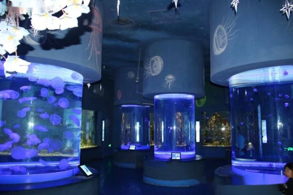 High-end aquarium why choose a4