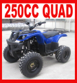 安い価格で新しいホット 250 cc ATV