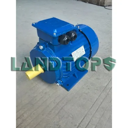 Y2 Three Phase Industrial Electric Motor 100 HP