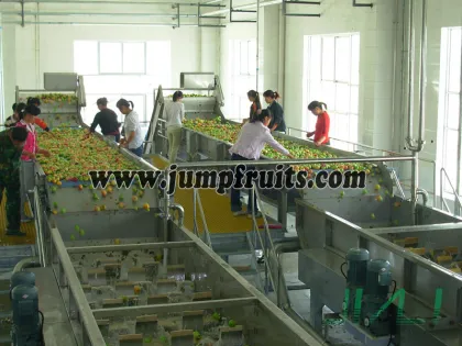 Banana Processing Line For Banana Chips