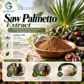 Extrato de Saw Palmetto com ácidos graxos e fitoesteróis