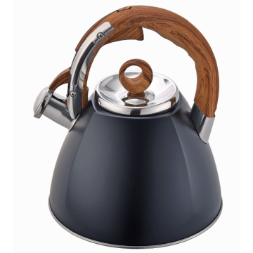 Black stainless steel stovetop tea kettle 3Qt