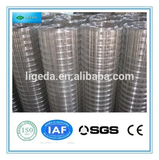 top quality Galvanized Welded iron Wire Mesh