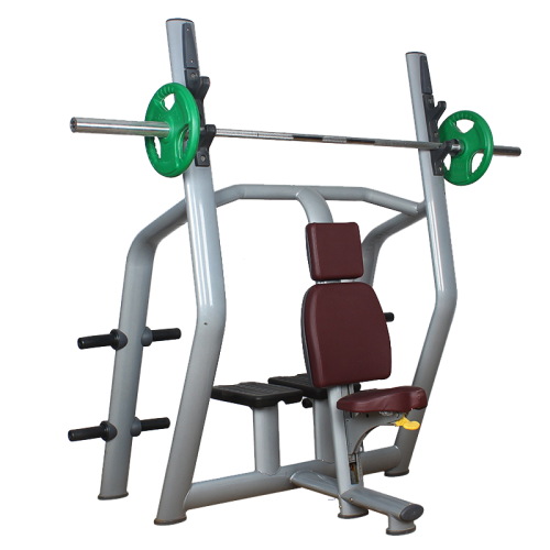 Professional Gym Strength Training Vertical Bench