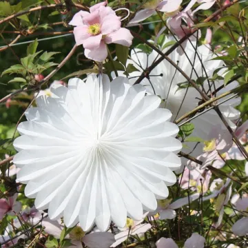 Manufacturer paper tissue fan hanging fan wall decoration