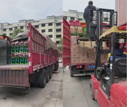 Mesin Pemanen Kacang Hemat Energi Ramah Lingkungan untuk Rumah Tangga