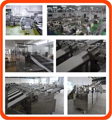 Chinese noodle machine and noodle cutting machine