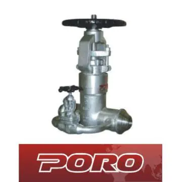 High Pressure Gate Valve with By Pass