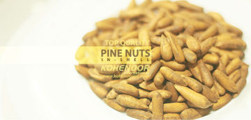 RAW PINE NUTS