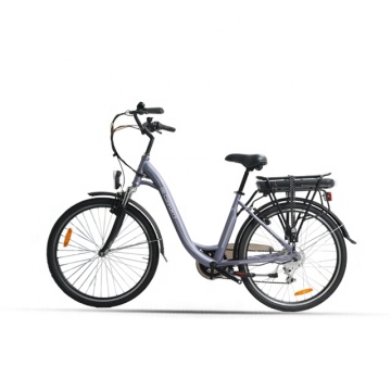 250W 36V Electric Bicycle: EN15194 Certified Adult Bike