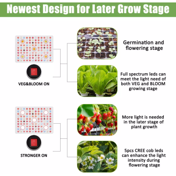 Novo Cob de chegada LED Grow Light