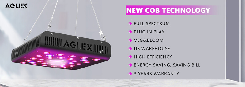 AGLEX COB 600W