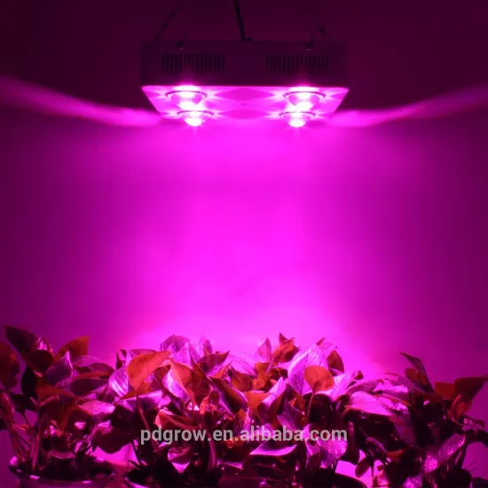 Customized High Power Best Mixture Ratio Full Spectrum 600W Professional Lights LED Grow Light for Greenhouse
/