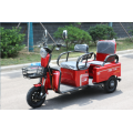 Electric tricycle with people and cargo