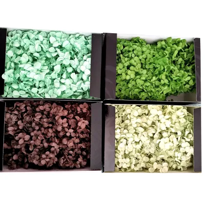 Eternal Life White Hydrangea: Preserved Anna Hydrangeas