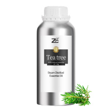 Aceite de árbol de té/Aceite de árbol de té Bulk/Pure Tea Tree Oil