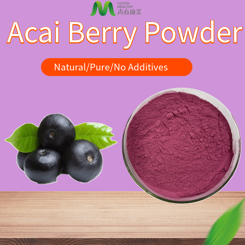 Buy Best Acai Berry Powder Wholesale