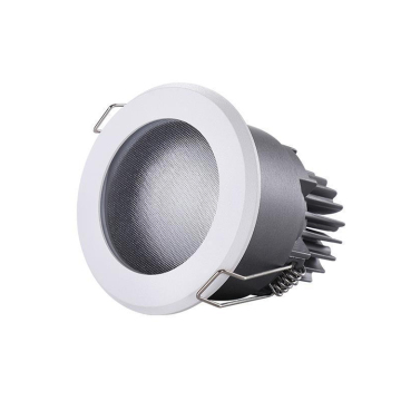 IP65 Waterproof LED Downlight for Hotels and Walls
