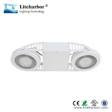 AR111 2 lights adjustable light for shops