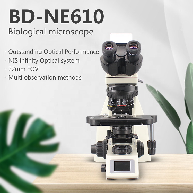 Boshida Bd-ne610 Trinocular Fluorescence Microscope, High Quality ...