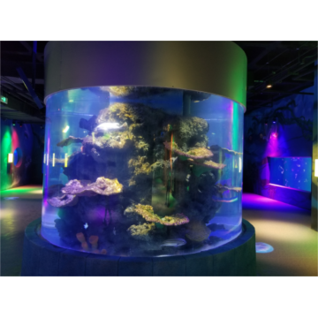Acryl -aquariumtank voor restaurant