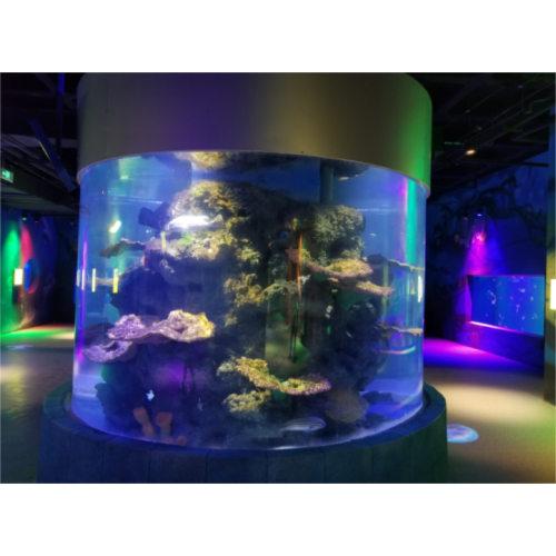 Acrylaquariumtank für Restaurant