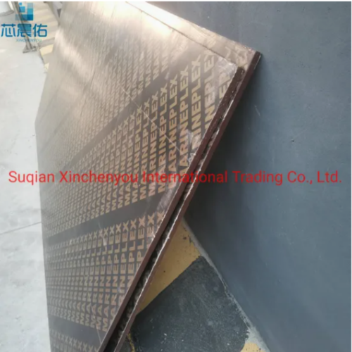 Customized Black Film Faced Plywood