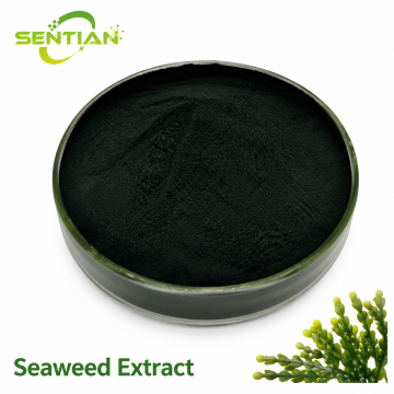 Seaweed Extract for Drought & Heat Stress Tolerance