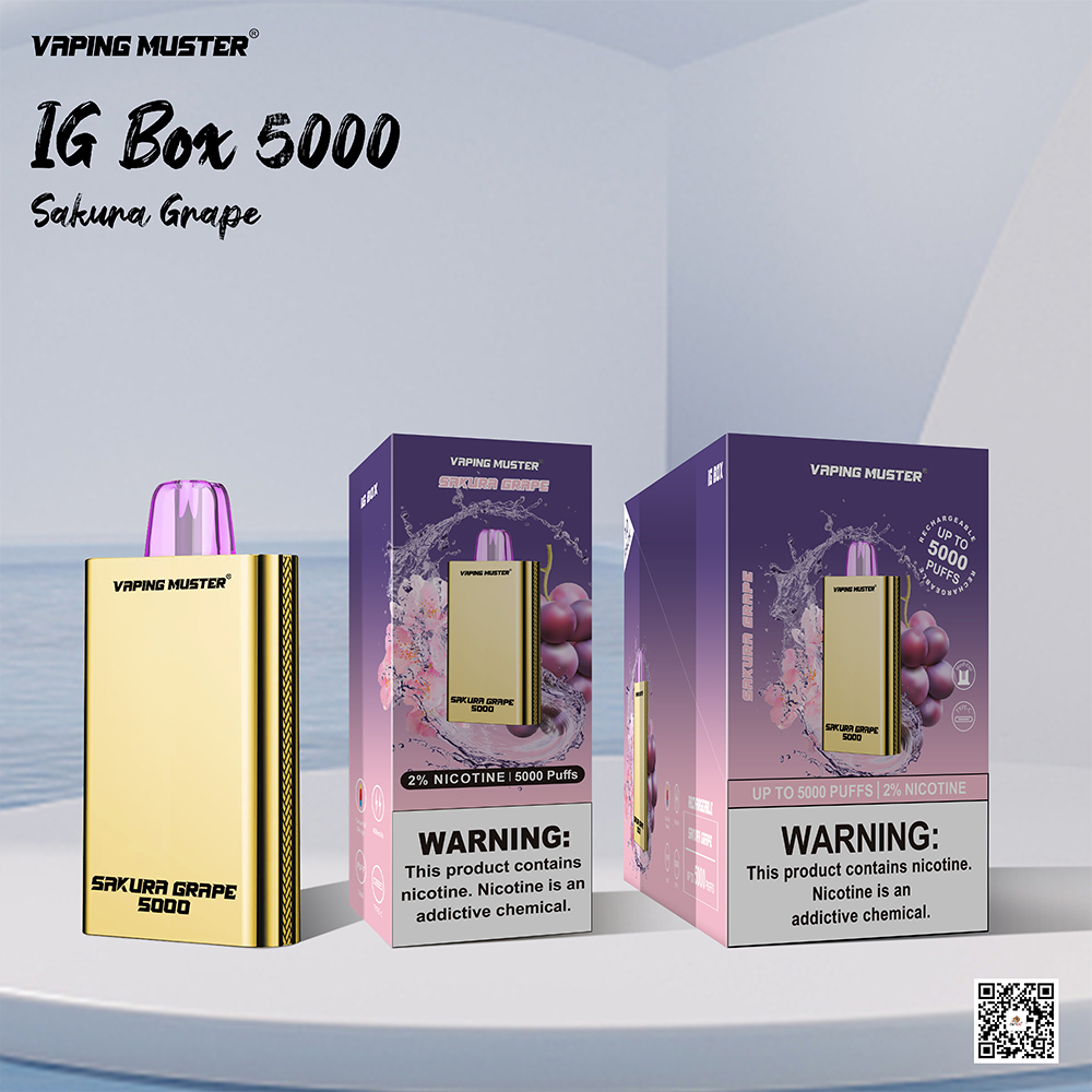 IG Box E-Cigarette 5000 Puff