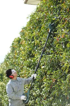 18v lithium cordless long reach adjustable head hedge cutter