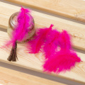 Feather art and craft