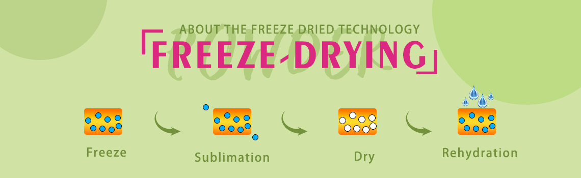 freeze dried dragon fruit chunks