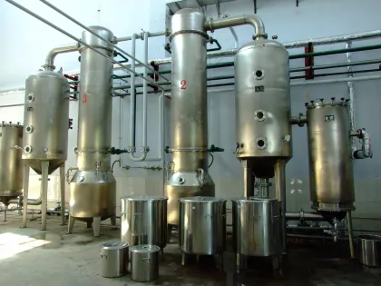 100% Natural Cinnamon Bark Extract 30% Polyphenols  High Quality Hot selling Cinnamon Powder Extract