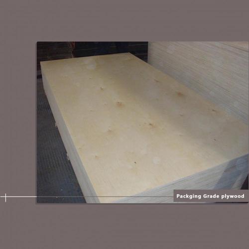 First Class Packaging Plywood 3 Mm