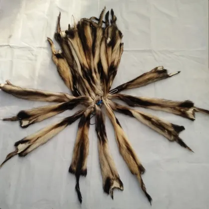 Wholesale Soft Fitch fur Tanned Ferrets Fur  Fitch Pelt