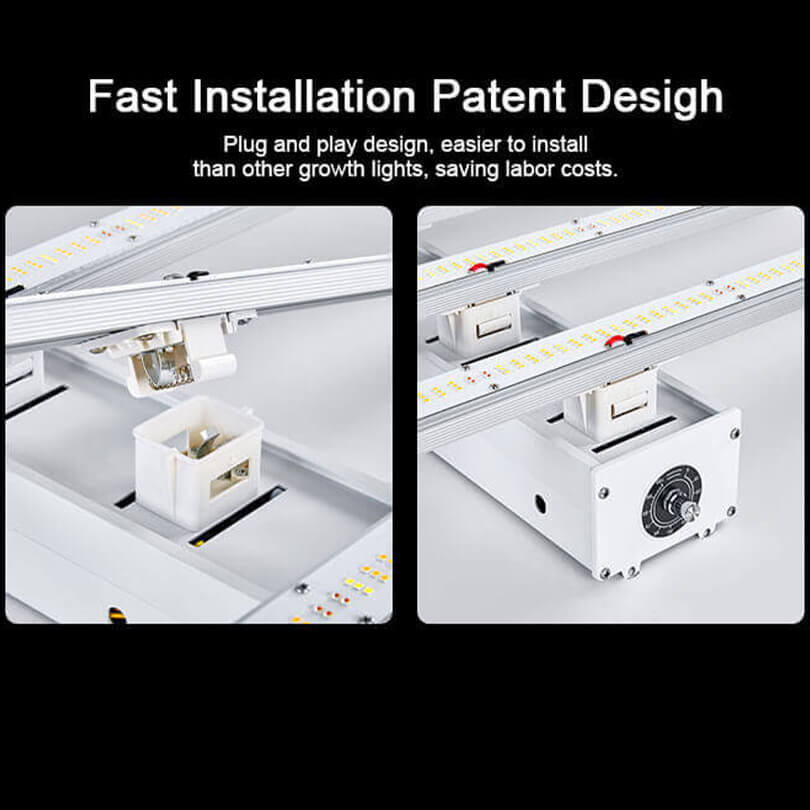 dimmable grow light