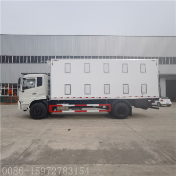 DONGFENG baby chick truck with 8 m body