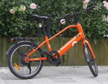 Rear Motor Electric Moped Bike