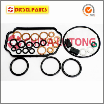 ve diesel pump repair kit-pump rebuild kit 1 417 010 059