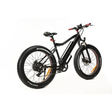 The hottest and best Electric bicycle
