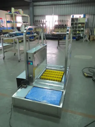 Clean shoe sole washing device for Air shower